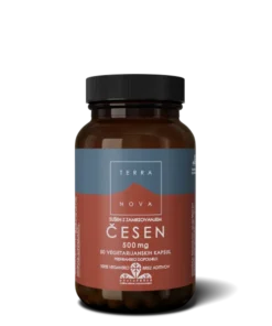 Cesen