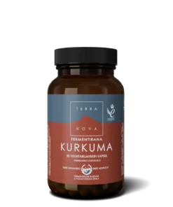 fermentirana Kurkuma